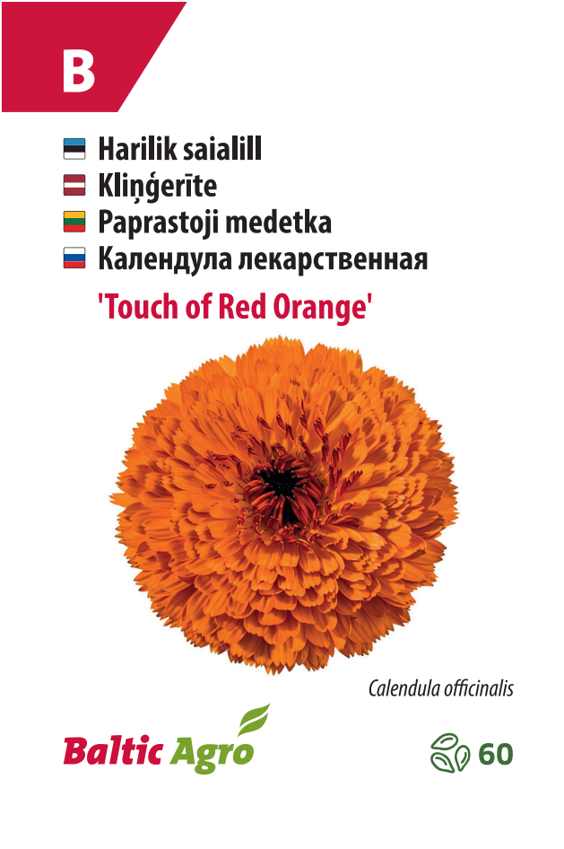 Saialill ‘Touch of Red Orange’