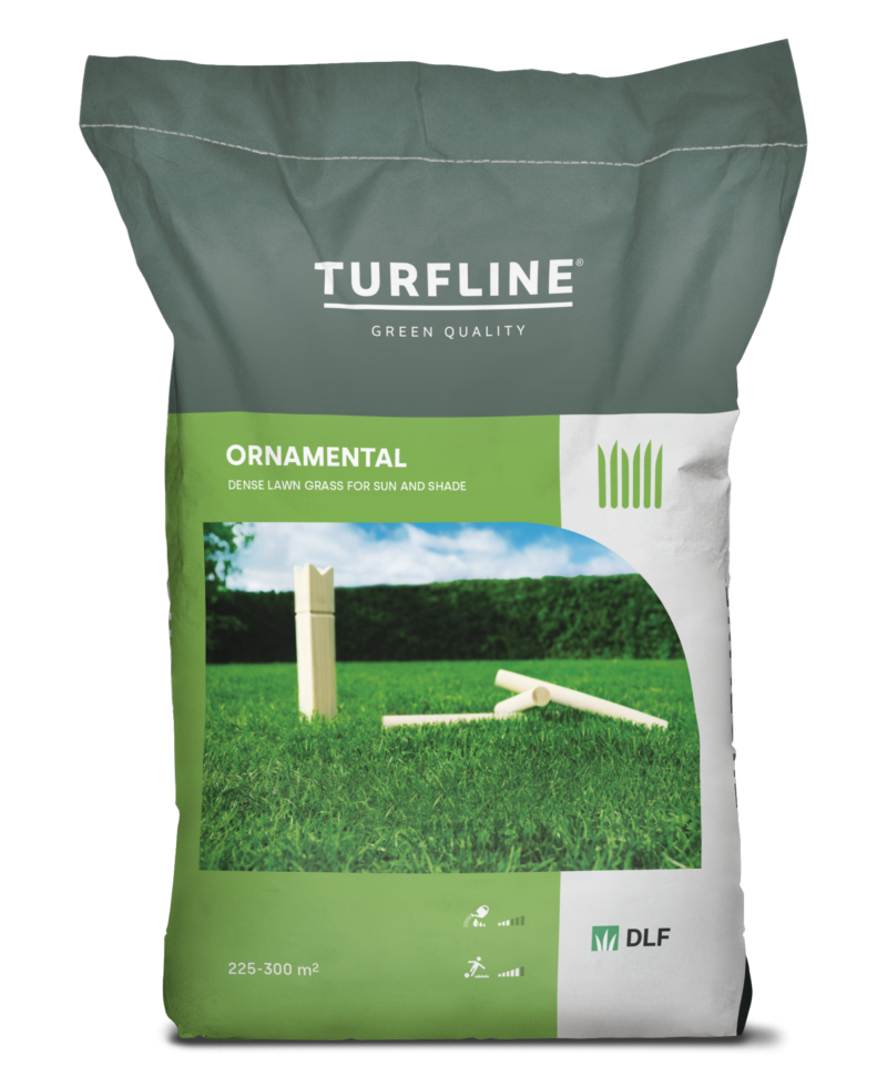 Home garden grass ornamental