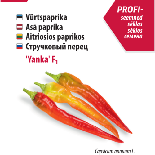 Tšillipaprika ‘Yanka’ F1