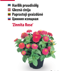 Saialill Touch of Red Yellow