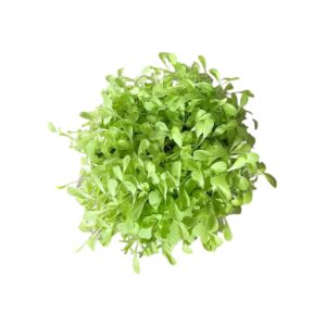 LEMMIKKIELÄINTEN KASVATUSPAKKAUS