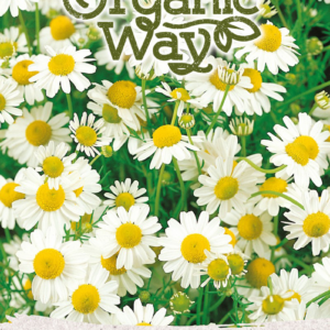 apteegi kummel Aedtill ‘Mammut’