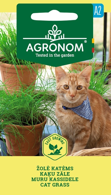 kassimuru kassimuru,kassimuru seemned,kassimuru müük