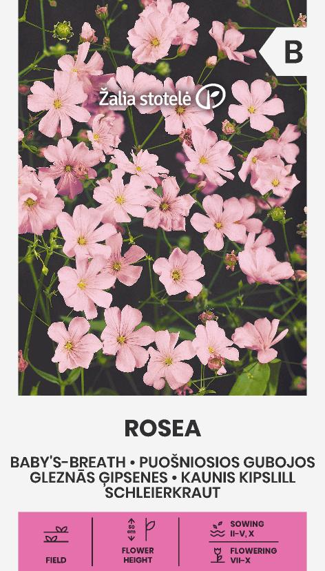 kaunis kipslill rosea Roosa kipslill, õitsemine juunist oktoobrini.