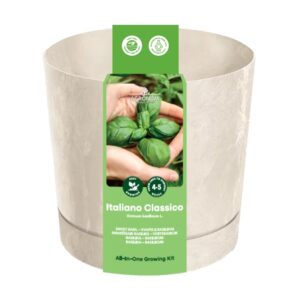 kasvatuskomplekt basiilik italiano classico cream Aedtill ‘Mammut’