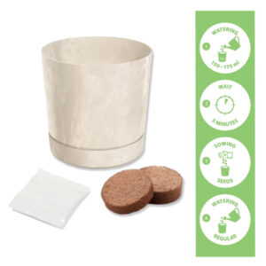 kasvatuskomplekt tomati tiny tim cream KASVATUSSARJA TOMAATTI TINY TIM KERMA