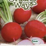 Клевер пунцовый 300 г