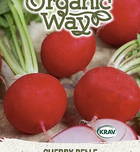 Семена редиса Черри Белле для органического выращивания, посев и сбор урожая.