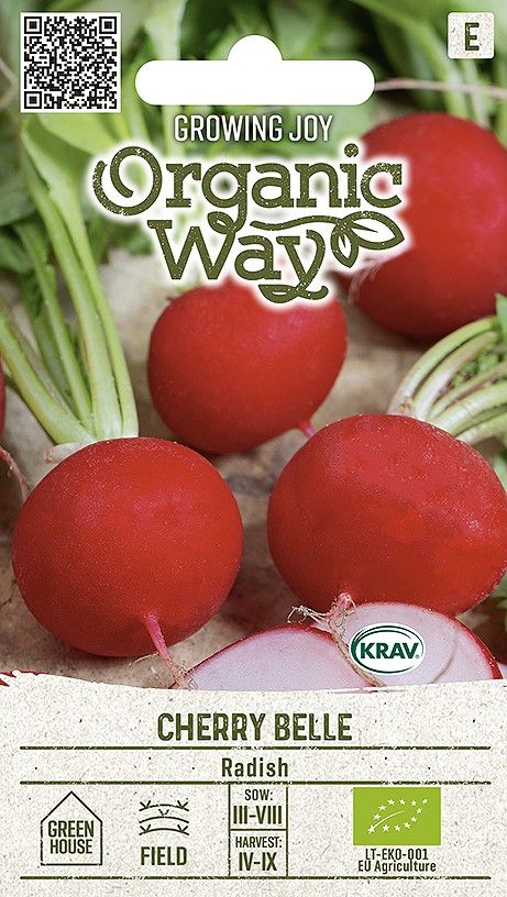 Orgaanilise kasvatuse kirsiredise seemned, külvamine ja saagikoristus.