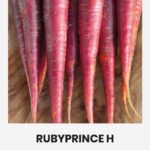 Клевер пунцовый 300 г