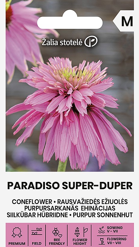 Roosa siilkübar 'Paradiso Super-Duper' seemned.