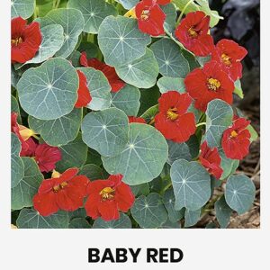 Aia ja murulubi,Известь для сада и газона 5кг