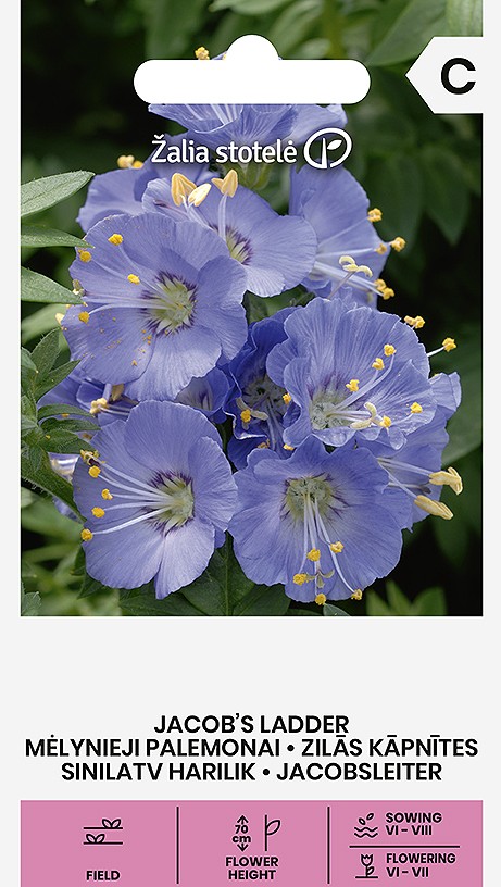 Семена Синюхи Голубой (Polemonium caeruleum)