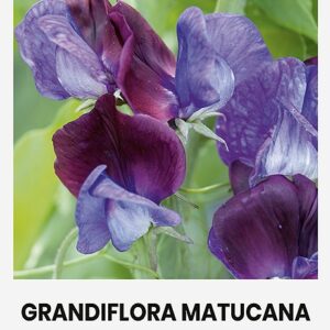 Комплексное удобрение для сада 1 кг