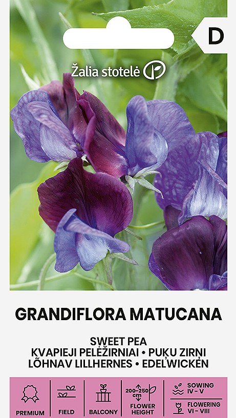 Lõhnav lillhernes 'Grandiflora Matucana' istutamiseks.