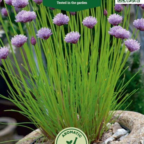 murulauk medium leaf Murulauk keskmise lehestikuga potis.