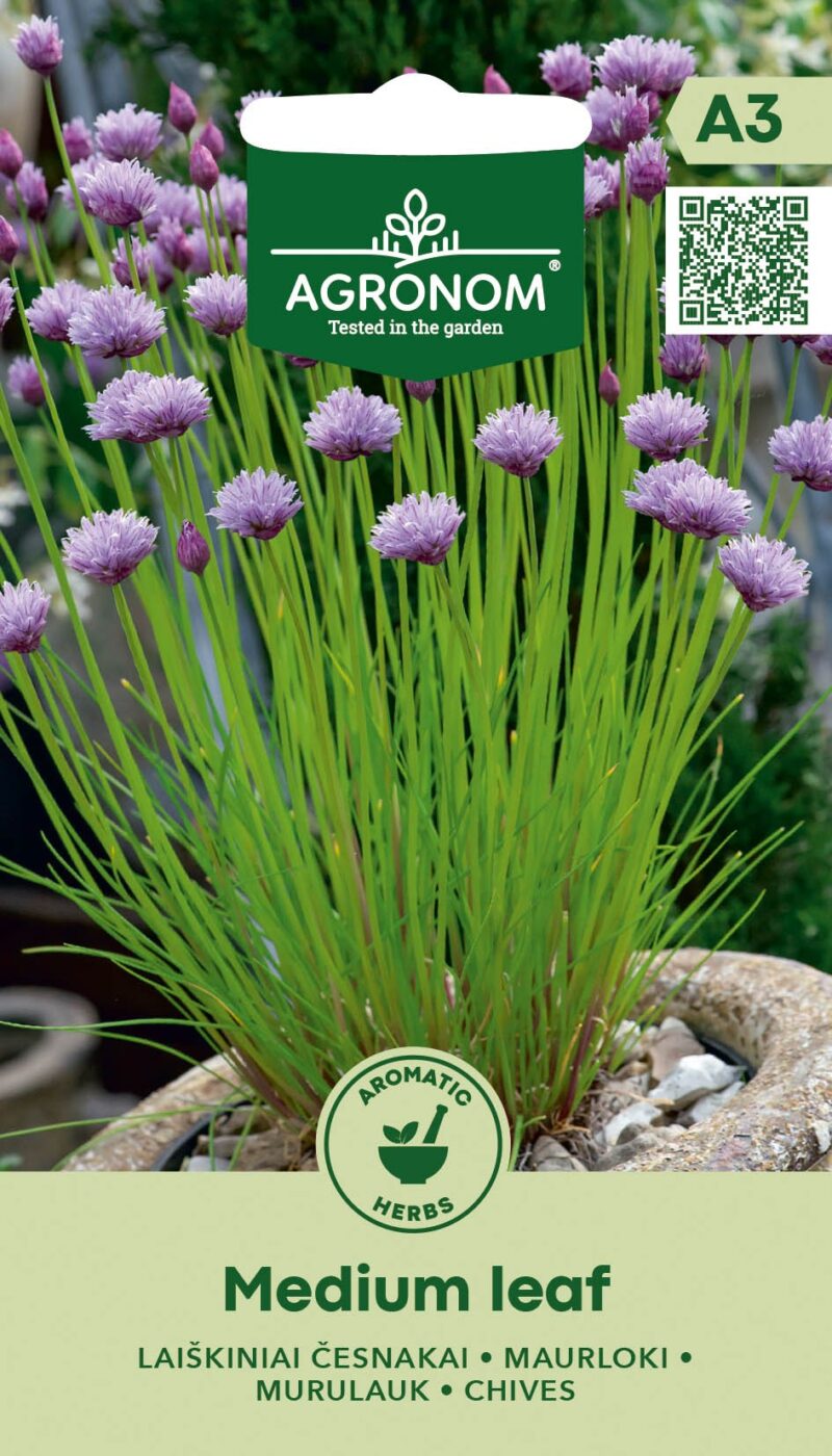 Murulauk keskmise lehestikuga potis.