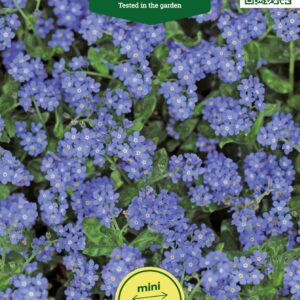 alpi lõosilm blue ball Aedtill ‘Mammut’