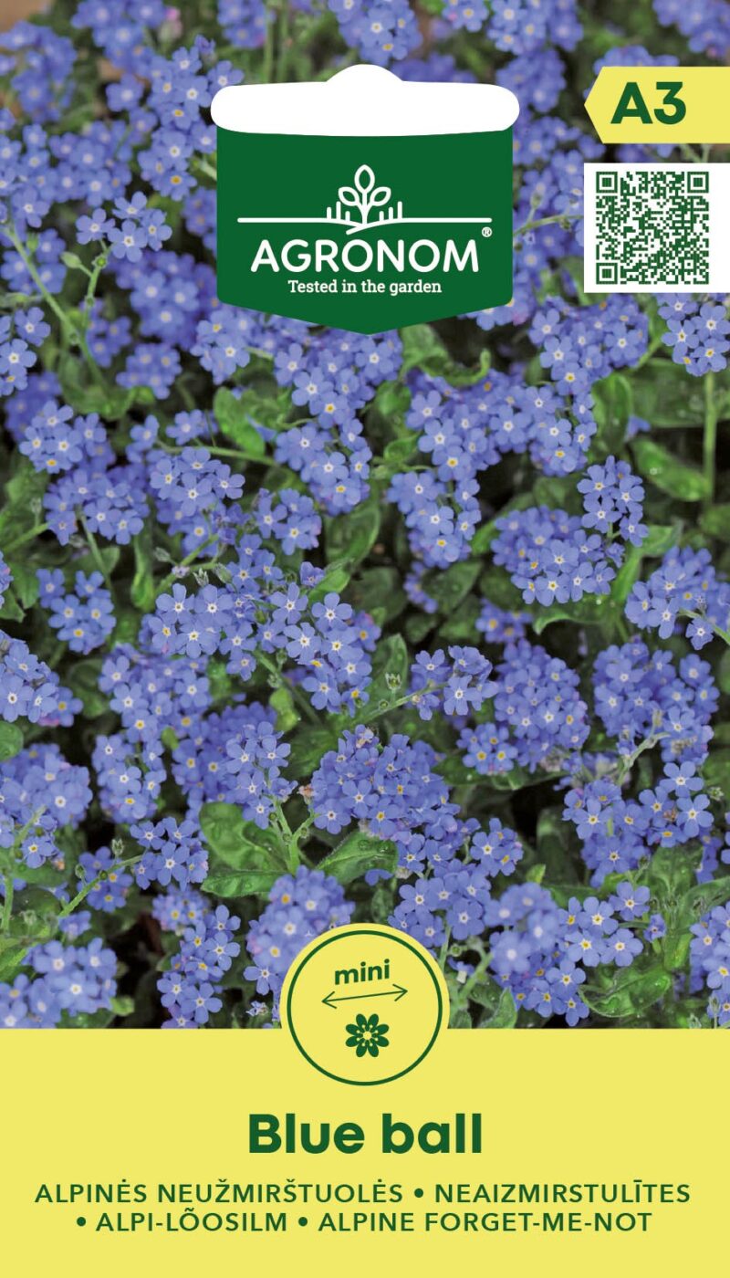 Alpi lõosilm,Blue Ball,mitmeaastane,kompaktne,rikkalik õitsemine,sinised õied,pottidesse,rõdukastidesse,aedadesse,niiske,poolvari,AGRONOM