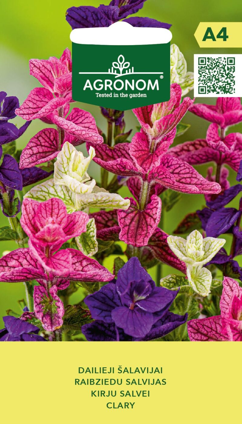 пестрый шалфей Семена пестрого шалфея - Agronom, A4, садовые покрытия.