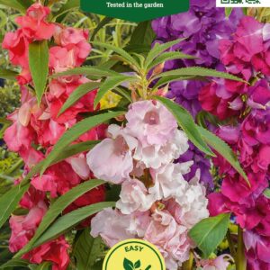 balsamiin lemmalts Algliide - sinine rõngas Streamline 16mm - 3/4"