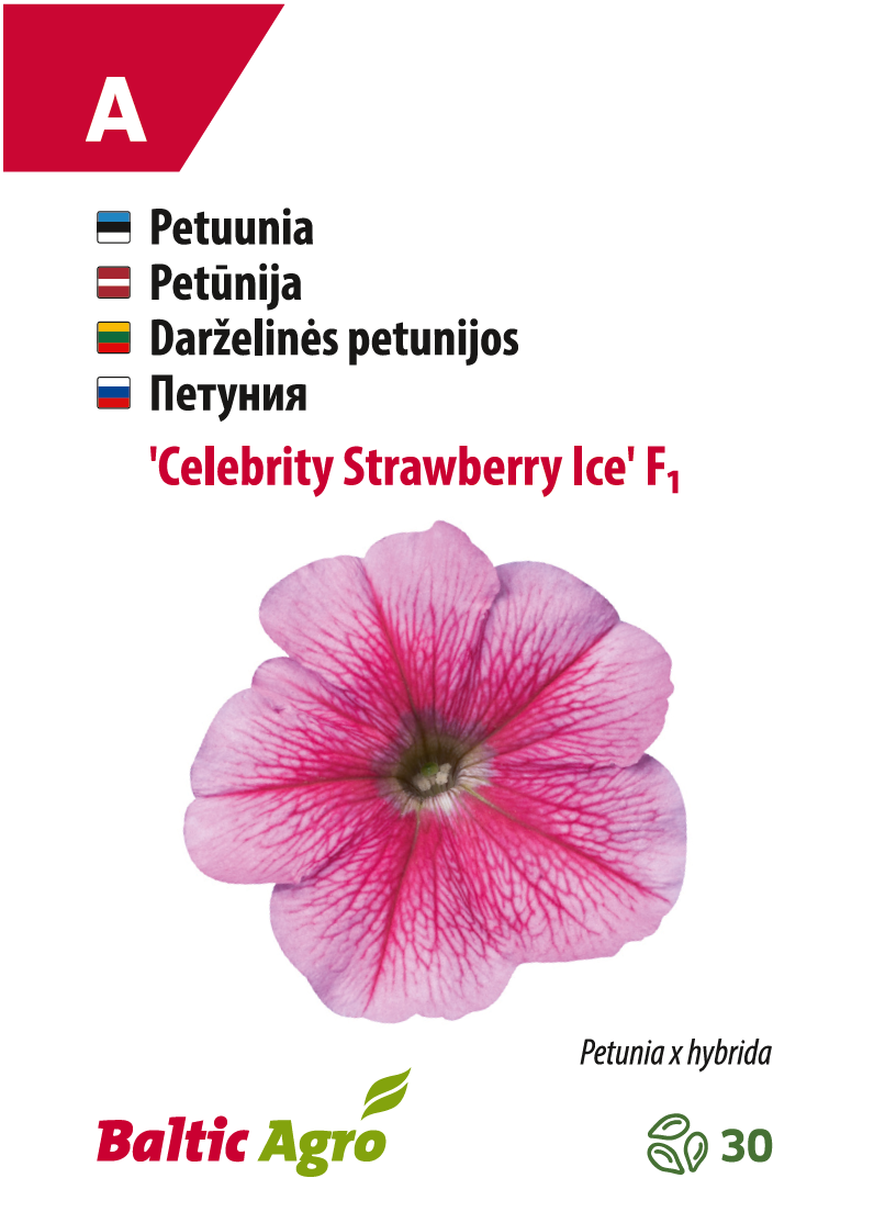 петуния 'celebrity strawberry ice' Семена розовой петунии "Селебрити Строберри Айс".
