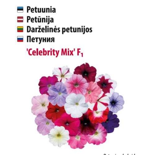 petuunia 'celebrity regular mix' petuunia 'celebrity regular mix'