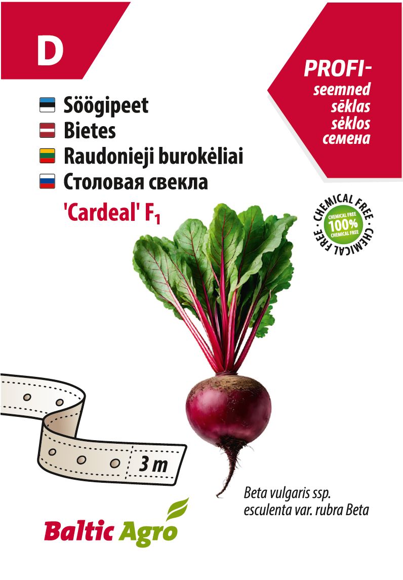 Punajuuri 'Cardeal' F1 siemennauhalla