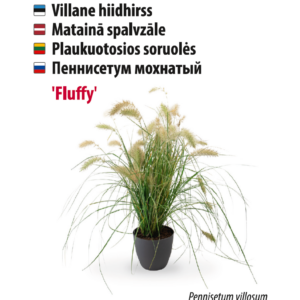 Hernemähkuri feromoonpüünis