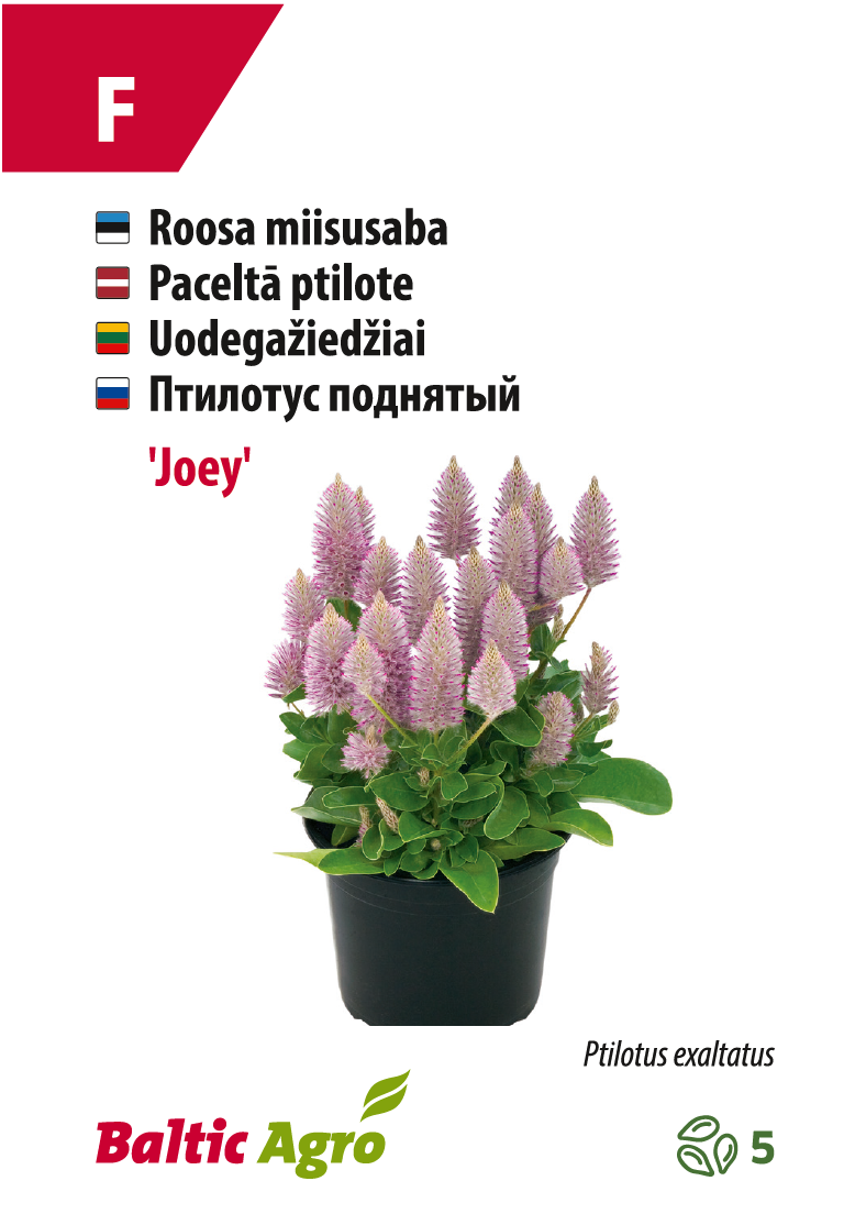 miisusaba 'joey' Roosa miisusaba taim potis, Baltic Agro.