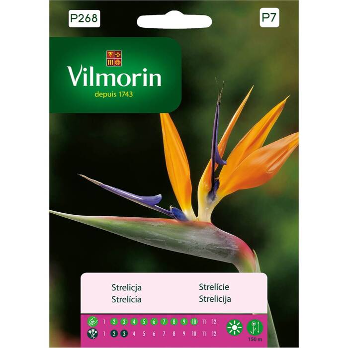 kuninglik strelitsia paradiisilind 10 tk