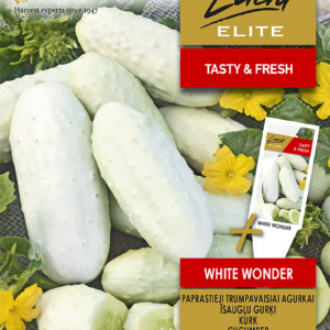 kurk 'white wonder' Aedtill ‘Mammut’