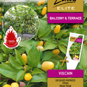 tŠillipipar 'vulcain' pille,Tomato Pills