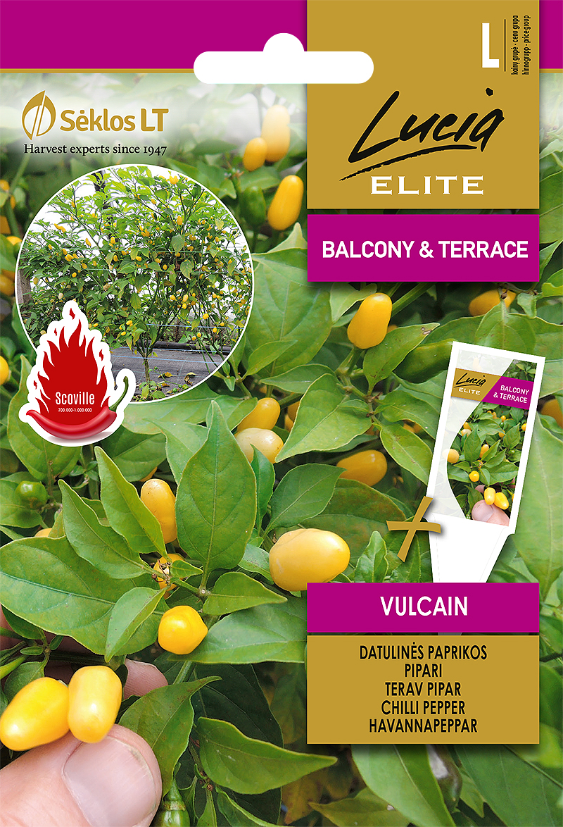 tŠillipipar 'vulcain' TŠILLI VULCAIN