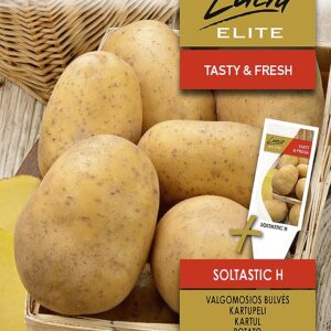 Sunflower Peredovick 100g