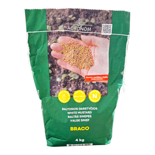 20250813_135937 (1) Valge sinep 4 kg BRACO