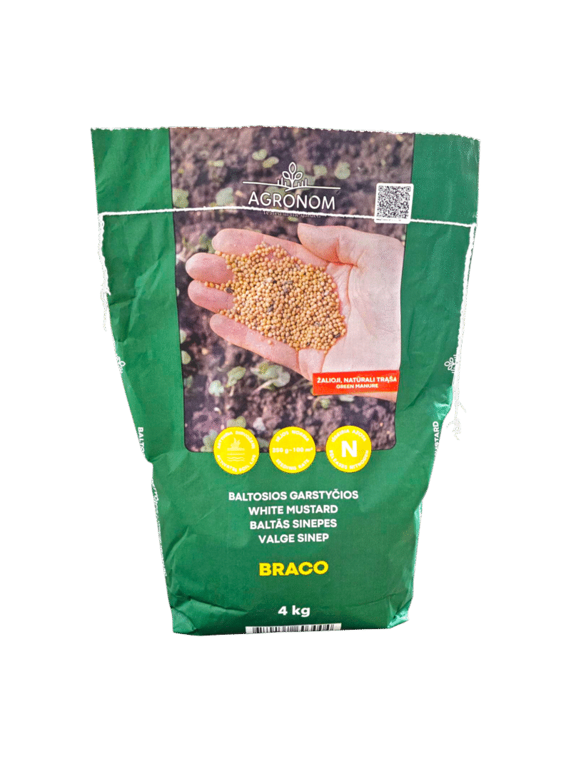 Valge sinep 4 kg BRACO