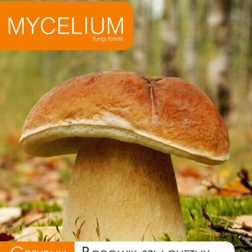 Мицелий белого гриба 10 г Мицелий белого гриба 10 г