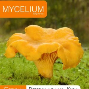 Chanterelle mycelium 10 g Chanterelle mycelium 10 g