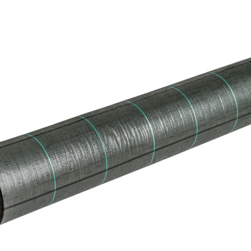 Green garden ground cover Green garden ground cover