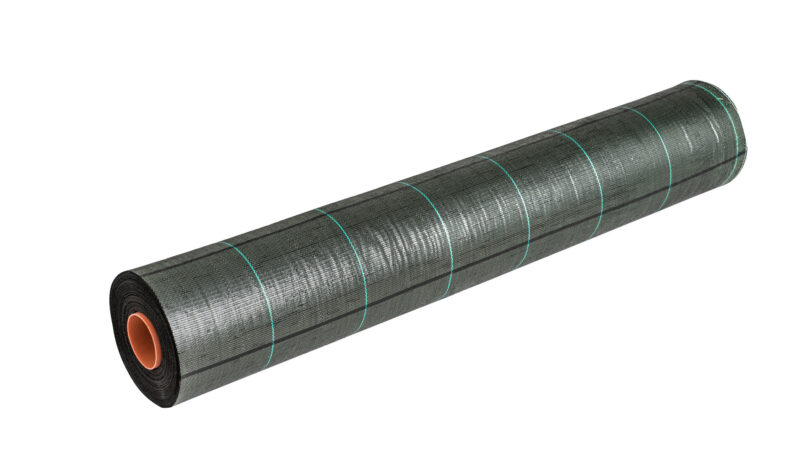 Green garden ground cover