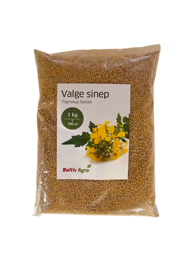 Valge sinep 1 kg valge sinep,haljasväetis,vahekultuuride külv,mulla parandamine,mesi,sinepiseemned