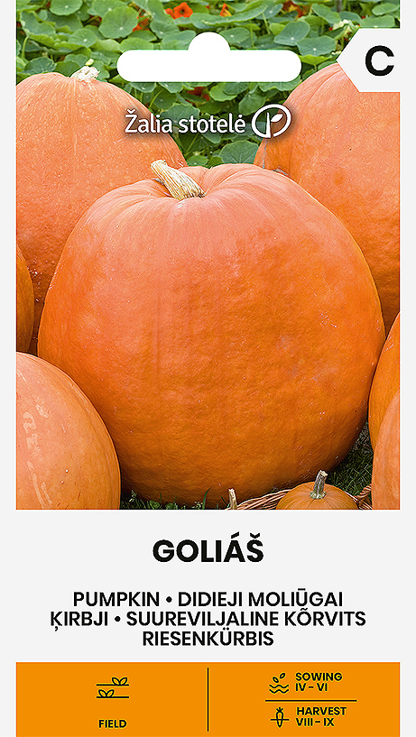 Large-fruited early squash "GOLIÁŠ"