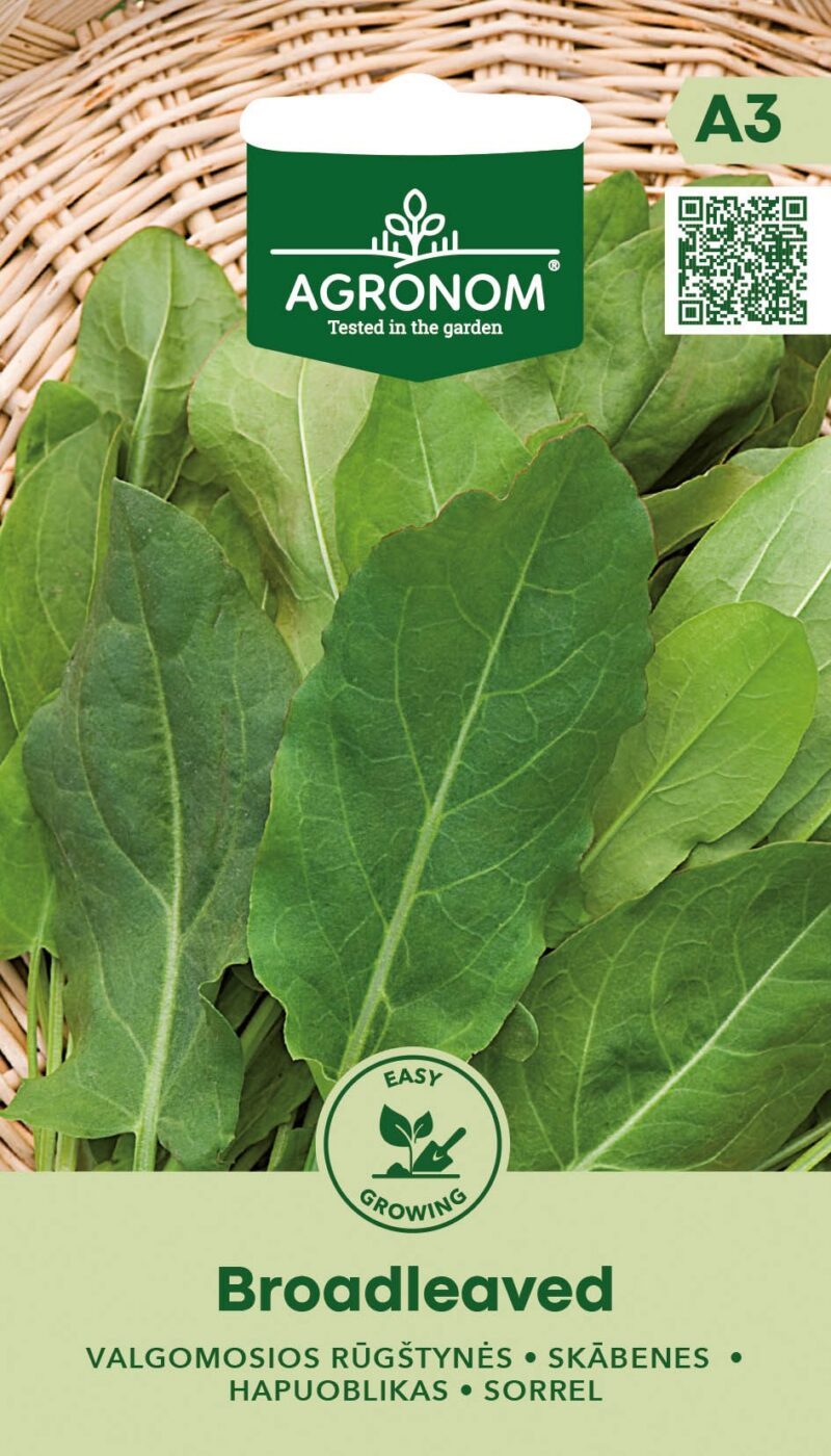 Щавель Щавель