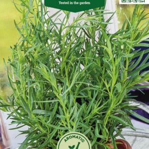 estragon Aedtill ‘Mammut’