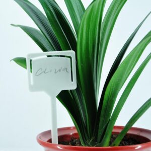 PLANT LABELS 10 PCS WHITE