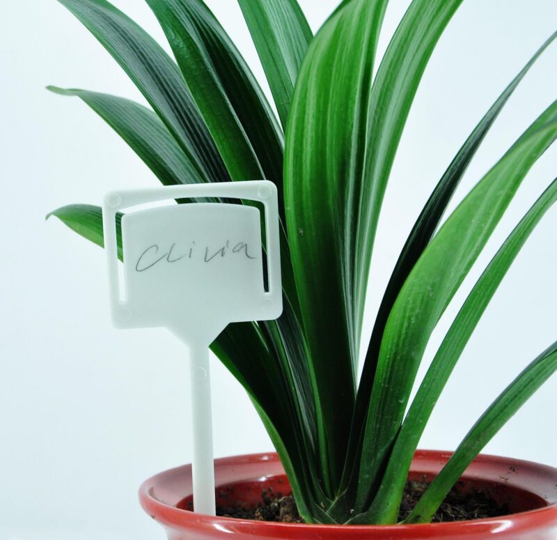 PLANT LABELS 10 PCS WHITE