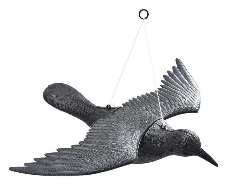 rippuv vares linnutÕrjeks 40 x 57 cm