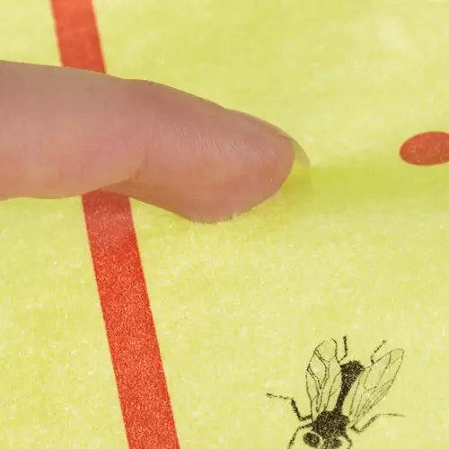 Insect Glue Paper 10m Roll