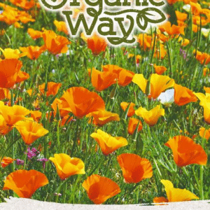 White clover RIVENDER 300g